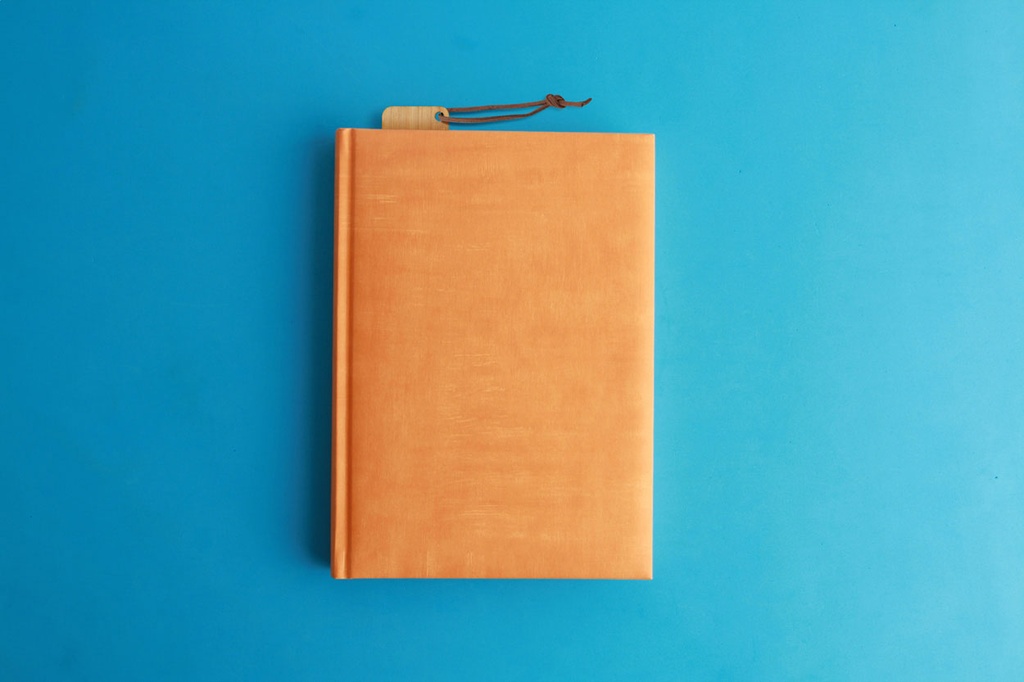 bamboe bladwijzer #2