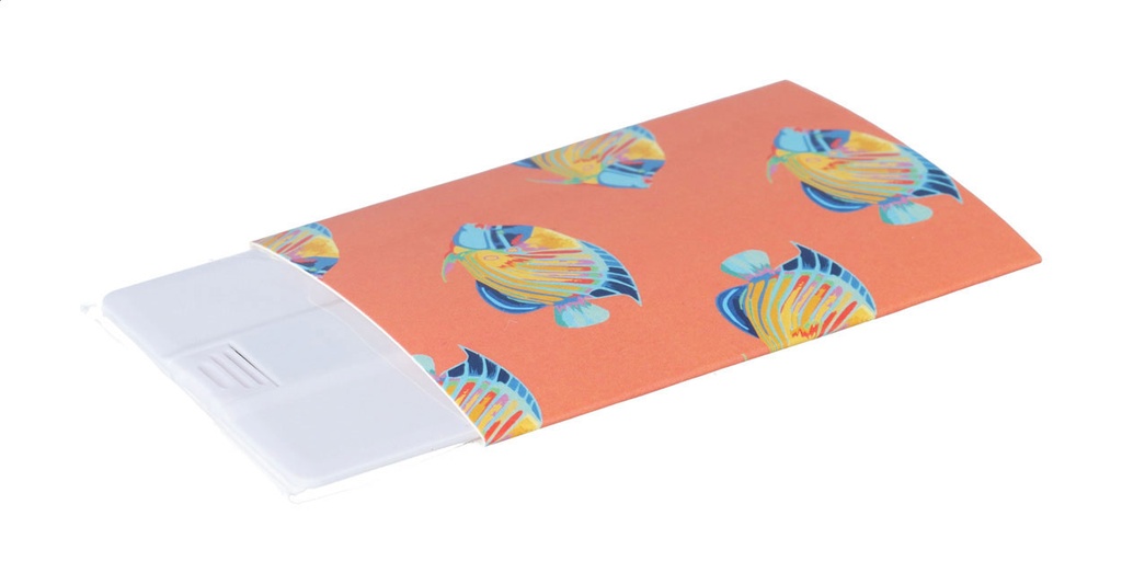 aangepaste papieren sleeve #2