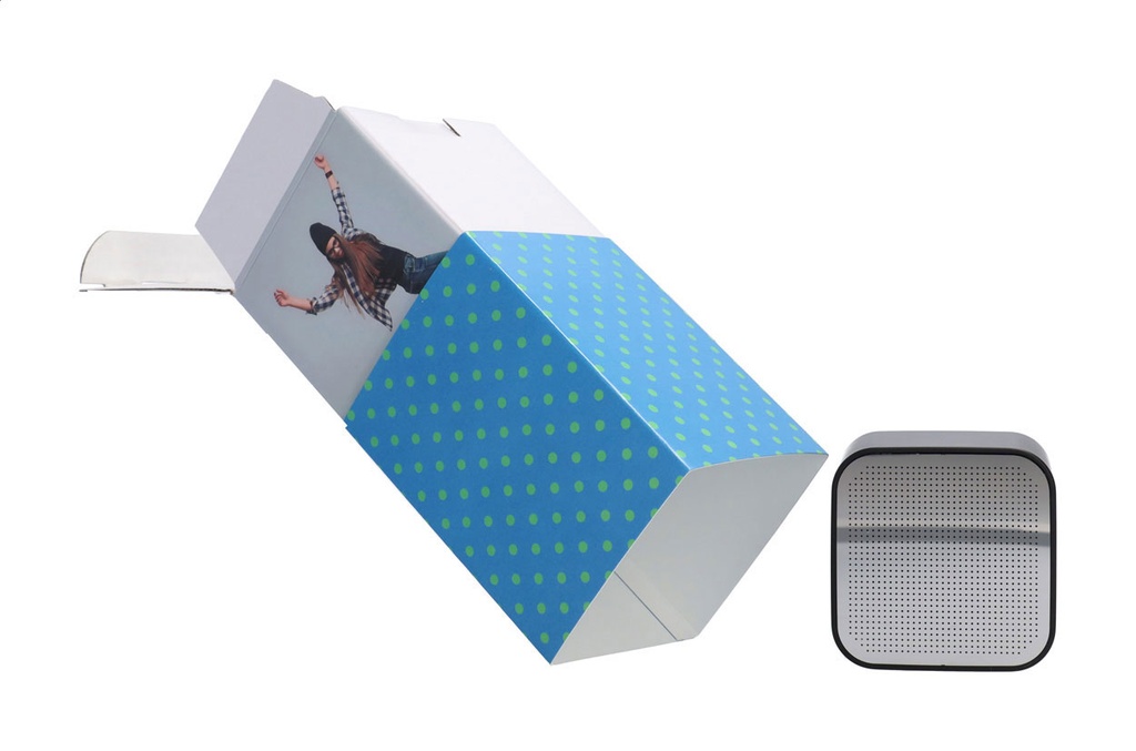 aangepaste papieren sleeve #4