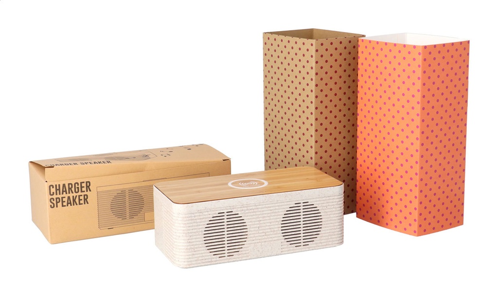 aangepaste papieren sleeve #1