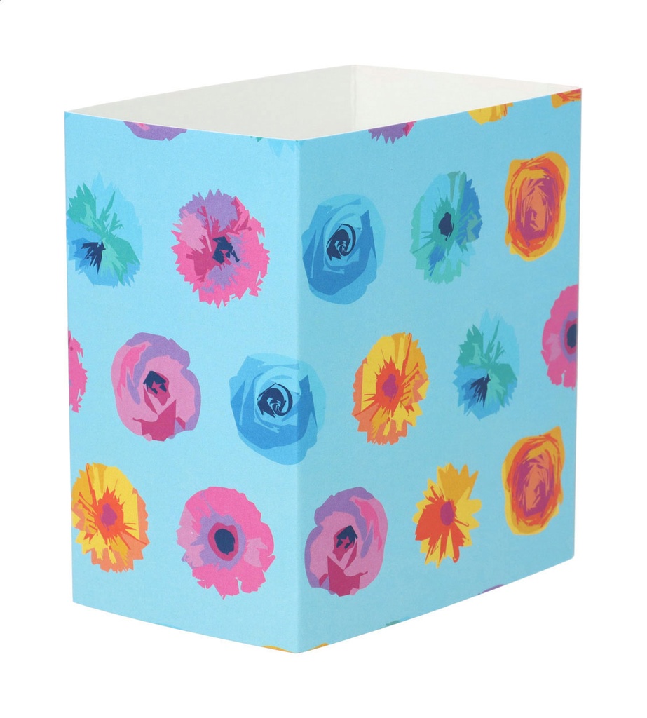 aangepaste papieren sleeve #1