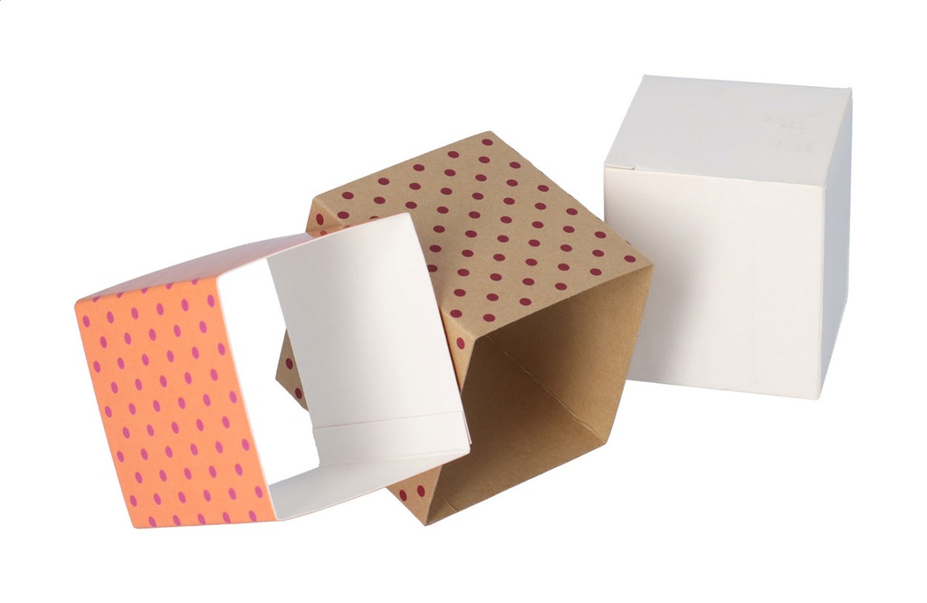 aangepaste papieren sleeve #4