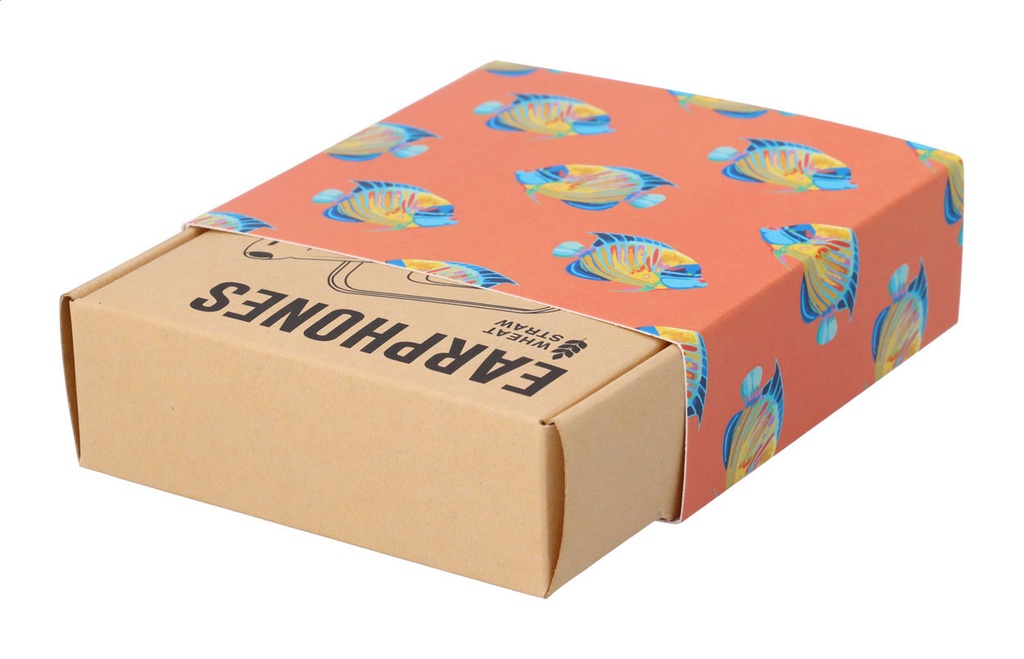 aangepaste papieren sleeve #2