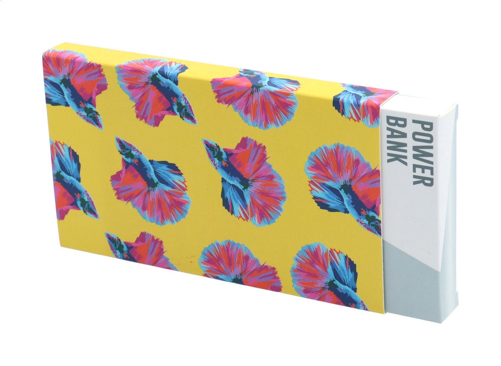 aangepaste papieren sleeve #2