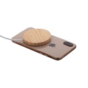 Magnetic wireless charger SeeMag