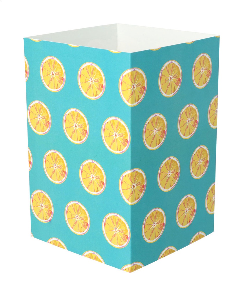 aangepaste papieren sleeve #1