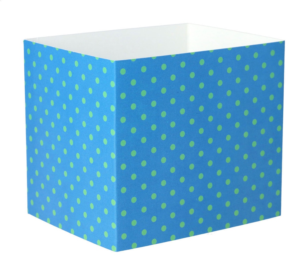 aangepaste papieren sleeve #1