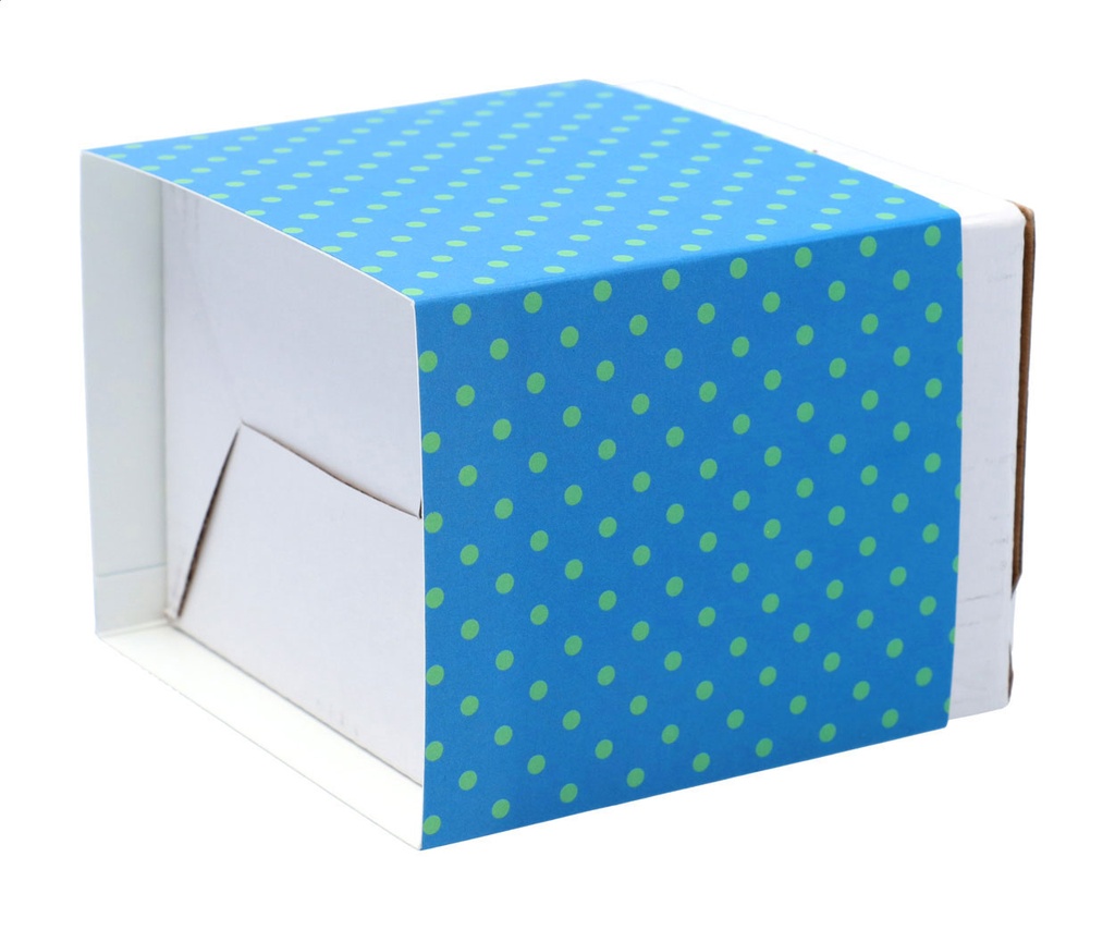 aangepaste papieren sleeve #2