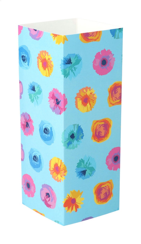 aangepaste papieren sleeve #1