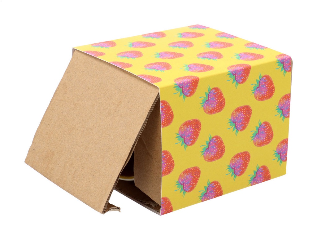 aangepaste papieren sleeve #2