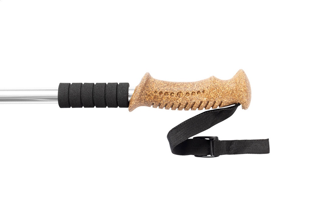 nordic walking sticks #3