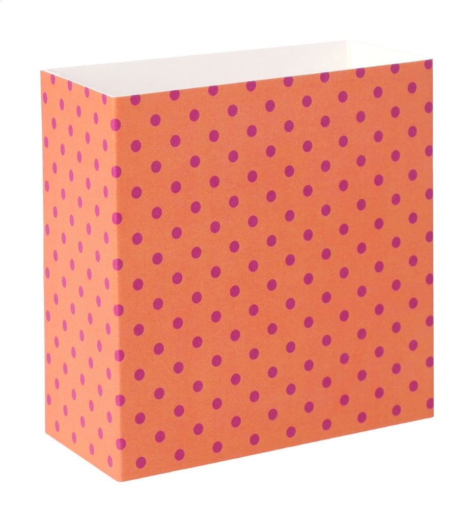 aangepaste papieren sleeve #1