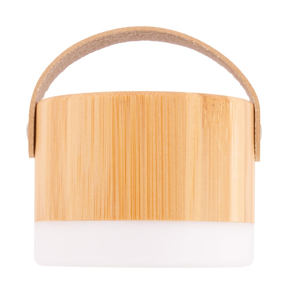 draadloze luidspreker #2