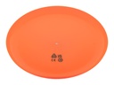 RPP frisbee #3