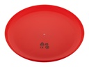 RPP frisbee #3