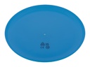 RPP frisbee #3