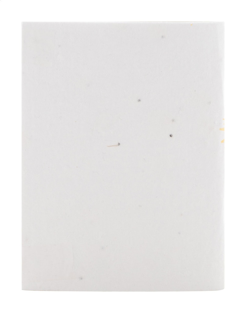 op maat gemaakt notitieboek van zaadpapier #6