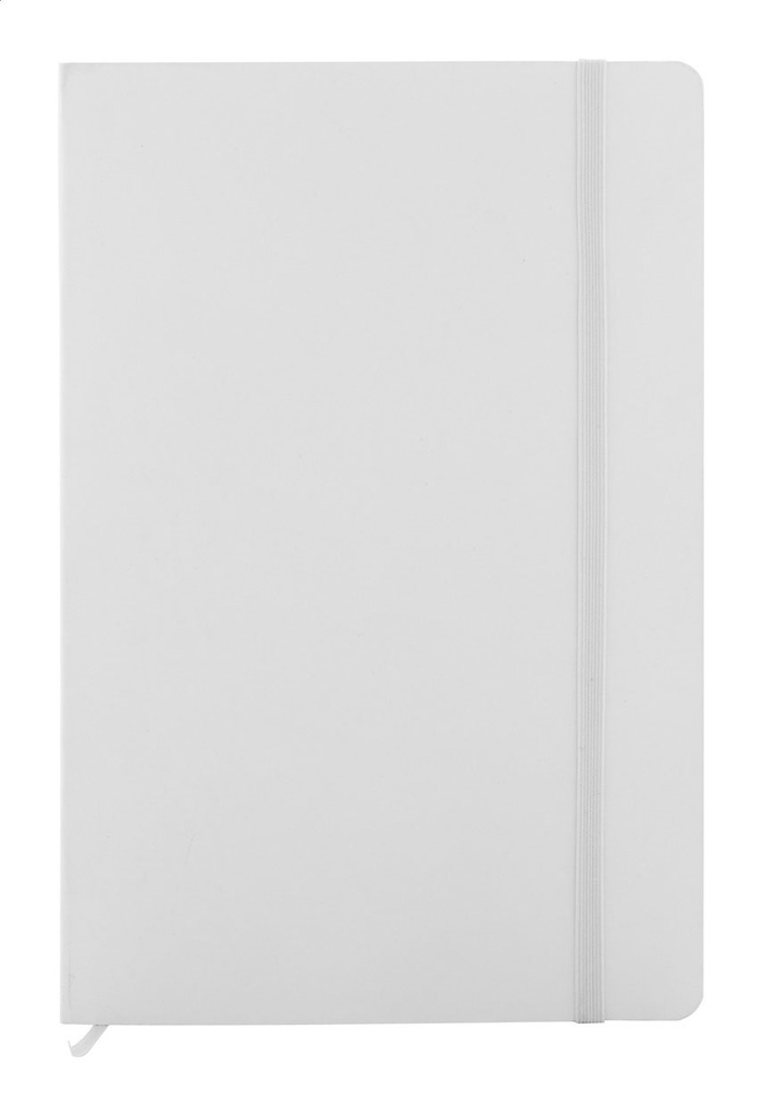 RPU-notitieboekje #1