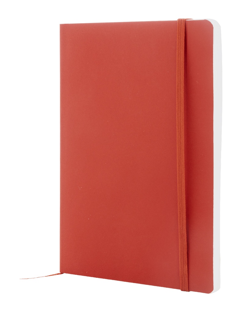 RPU-notitieboekje #2