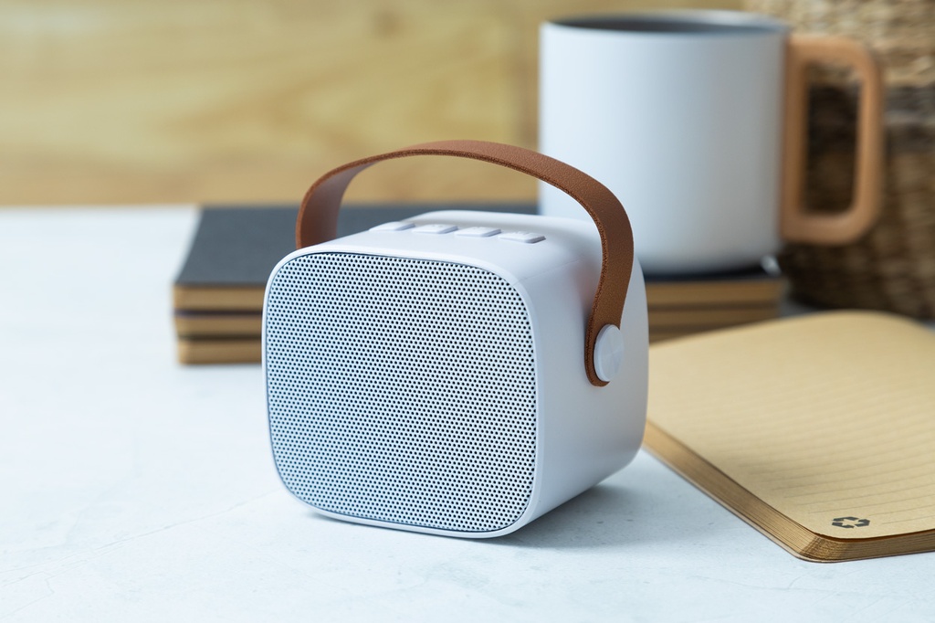 Draadloze RABS-luidspreker #5