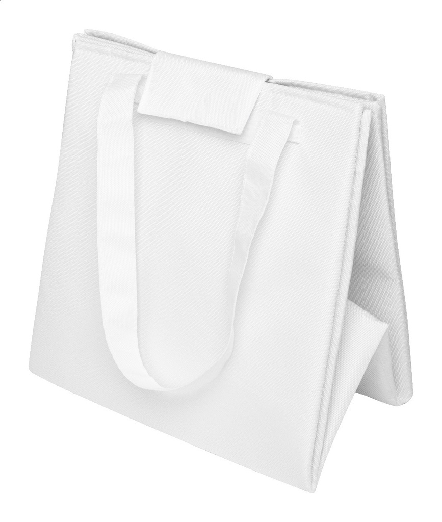 aangepaste picknick koeler tas #12