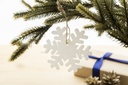 RPET kerstboom ornament, sneeuwvlok #2