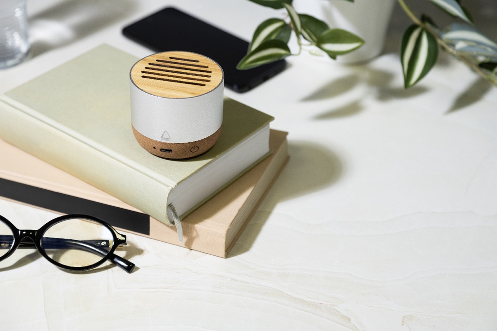 draadloze luidspreker #5