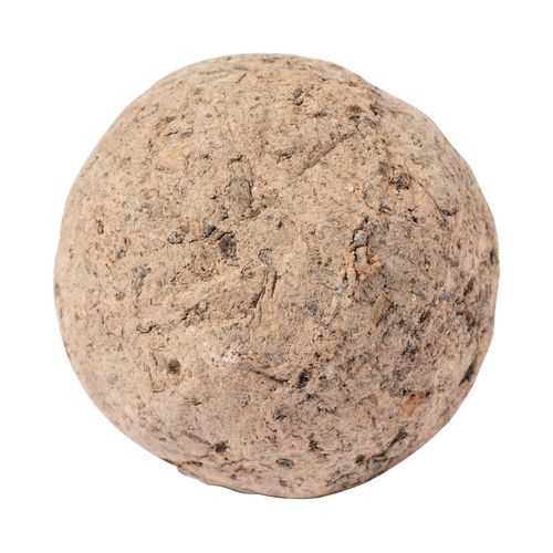 Seed Ball Flobba