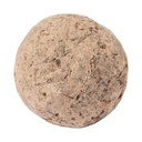 Seed Ball Flobba