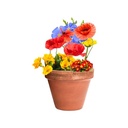Seed Ball Flobba