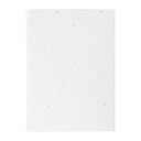Seed Paper Sticky Notepad Semeno Note