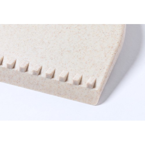 Ice scraper Gunon