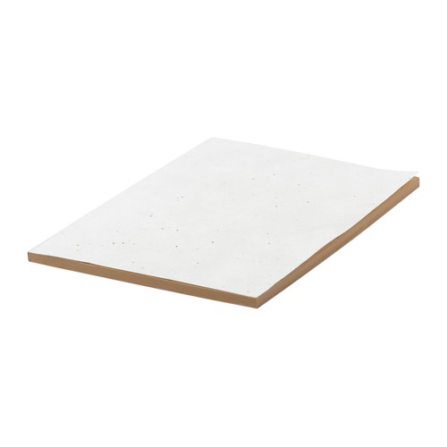 Seed paper notebook Maiwen