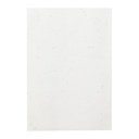 Seed paper notebook Maiwen