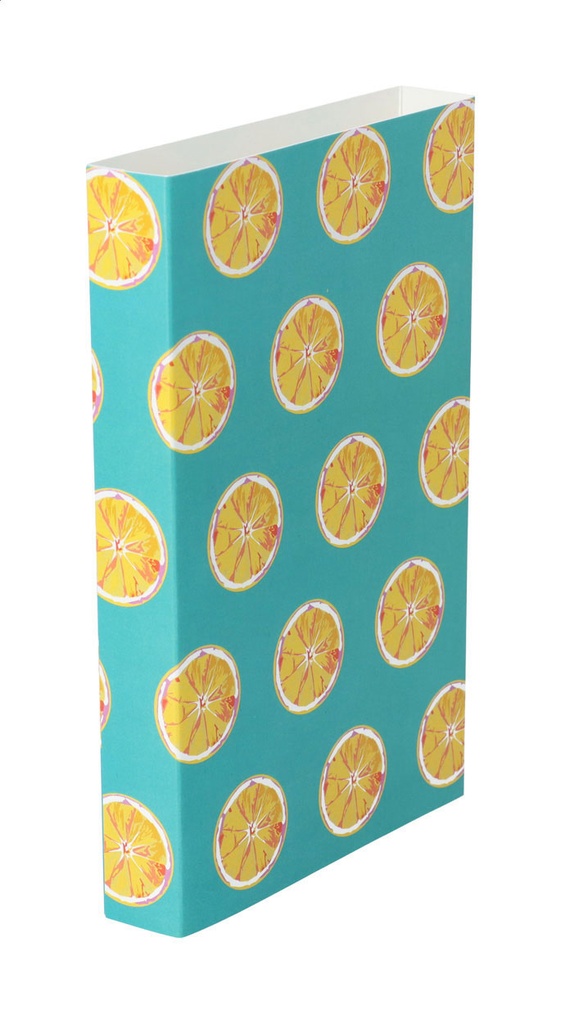 aangepaste papieren sleeve-CreaSleeve 287