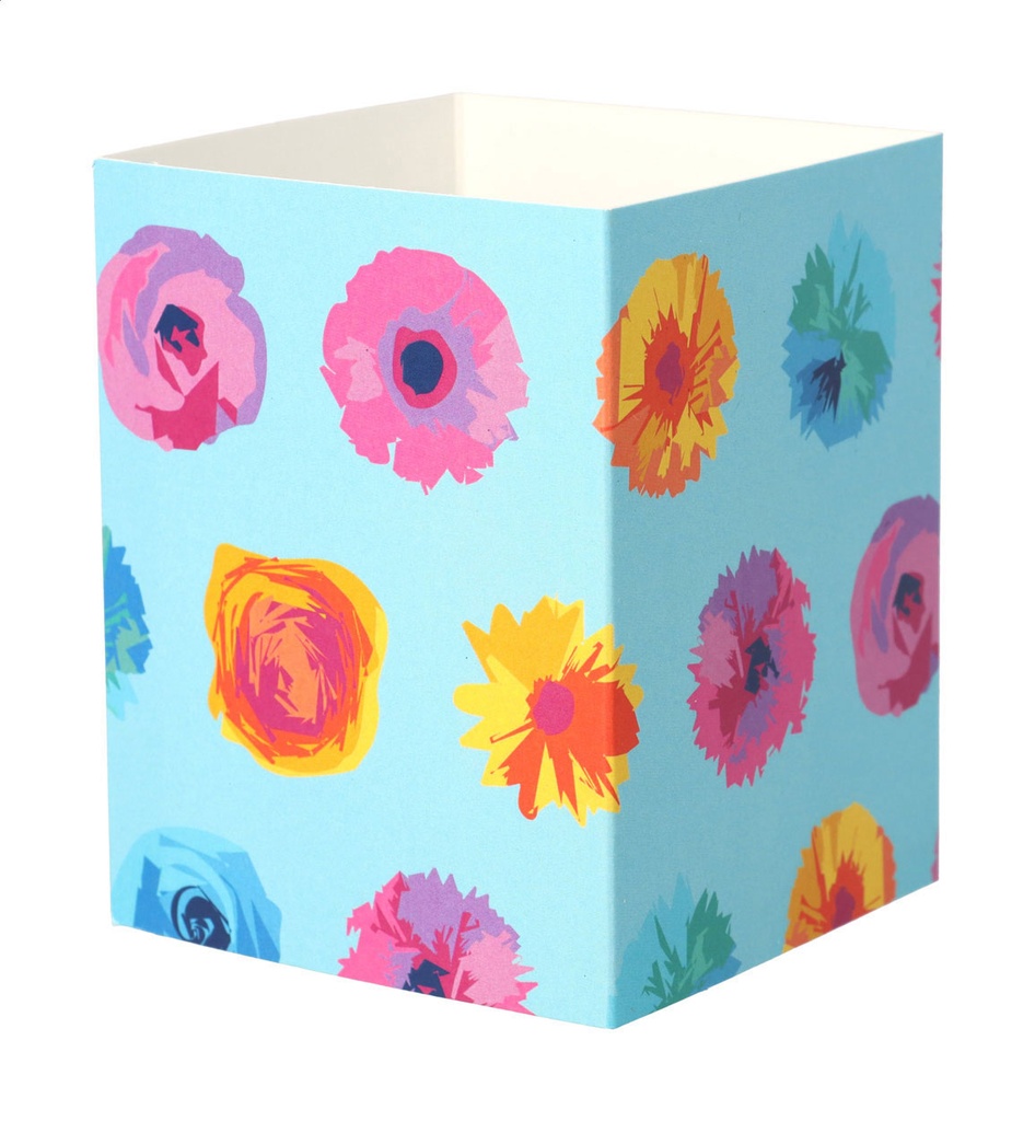 aangepaste papieren sleeve