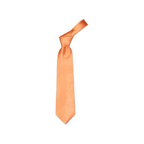 [AP1222] Polyester Stropdas  Colours