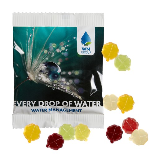 [110711102] Fruit Gum STANDARD 20 g, VEGAN in een composteerbare zak