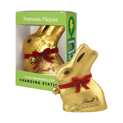 [110792010] Lindt & Sprüngli Chocolade Haas in een Geschenkdoos