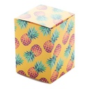 Aangepaste Box CreaBox PB-098